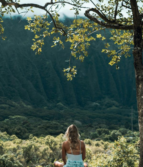 A woman sits in meditation under a tree, overlooking a tranquil mountain valley, embracing nature's calm.